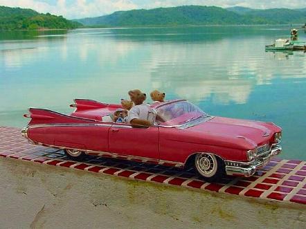 Cruisin' by the bay.JPG (27459 bytes)