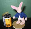 Rabbit 2.JPG (36226 bytes)