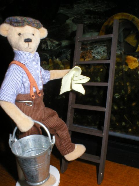 window cleaner1.JPG (47337 bytes)